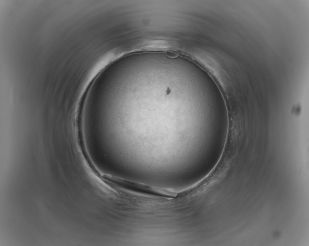 X0000097651475200802291439