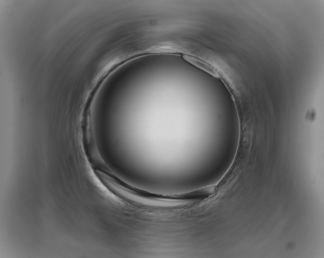 X0000097651476200802291439