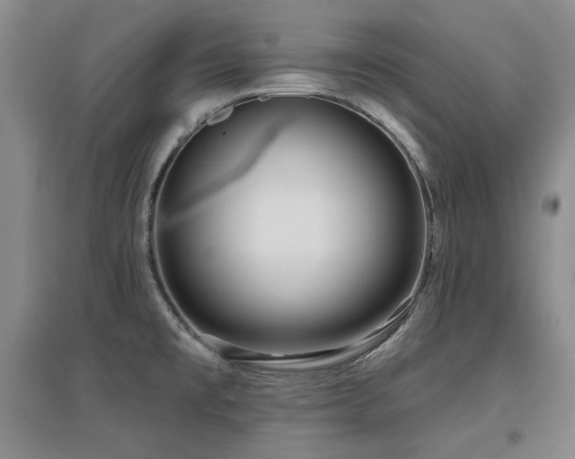 X0000097651477200802291439