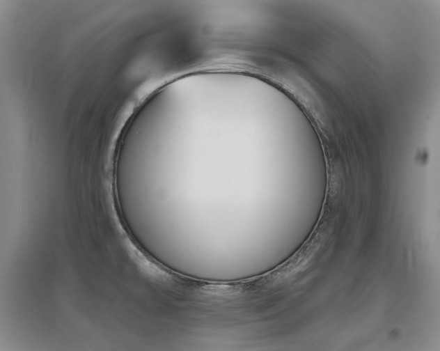 X0000097651478200802291439
