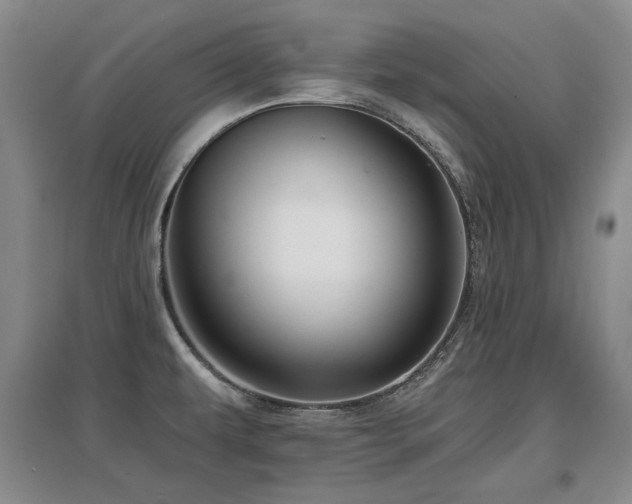X0000097651479200802291439
