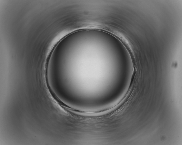 X0000097651480200802291438