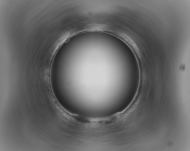 X0000097651481200802291438