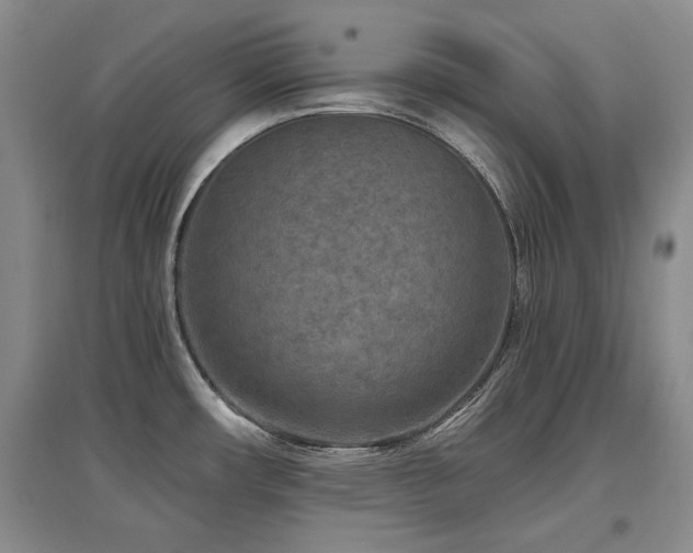 X0000097651482200802291438