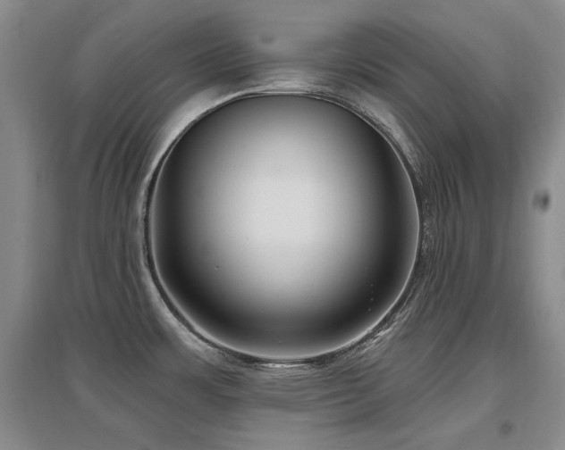 X0000097651483200802291438
