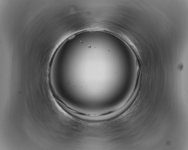 X0000097651484200802291438