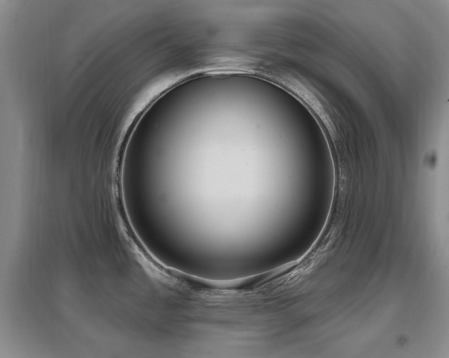 X0000097651485200802291438