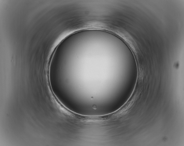 X0000097651486200802291438
