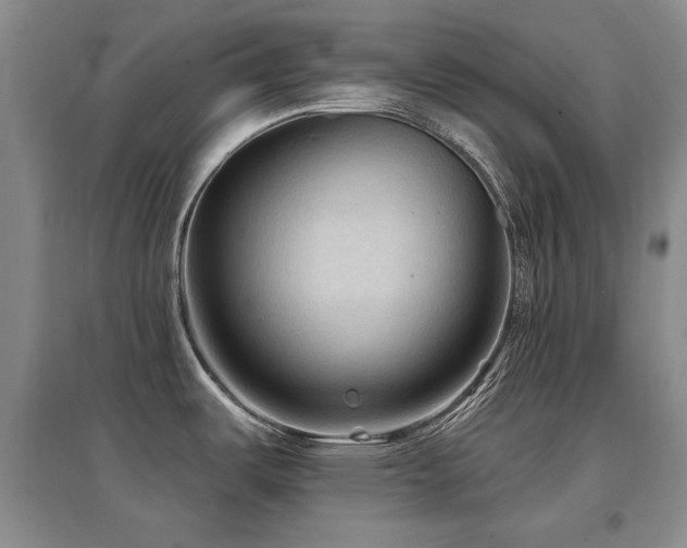 X0000097651487200802291438