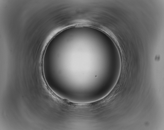 X0000097651488200802291438