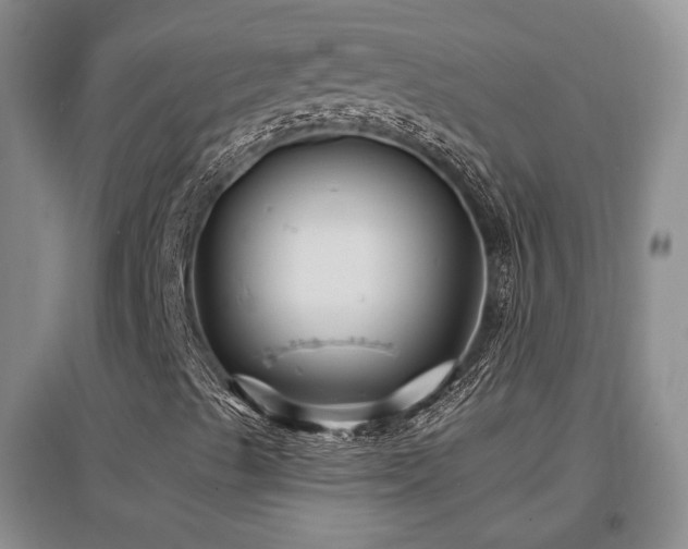 X0000097651489200802291438