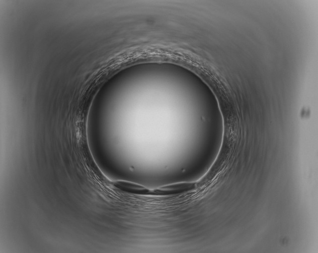 X0000097651490200802291438