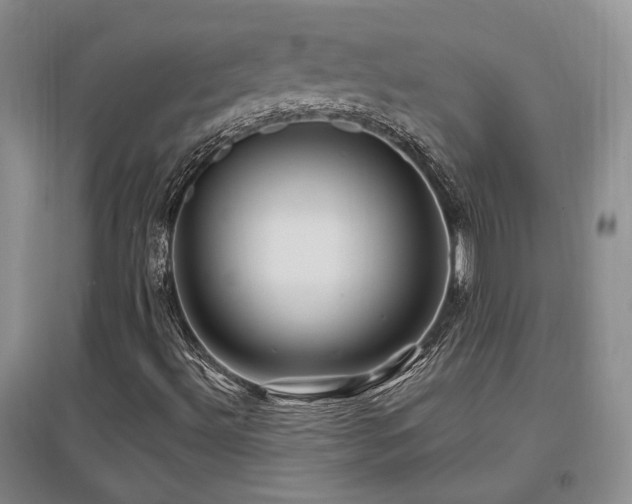 X0000097651492200802291438