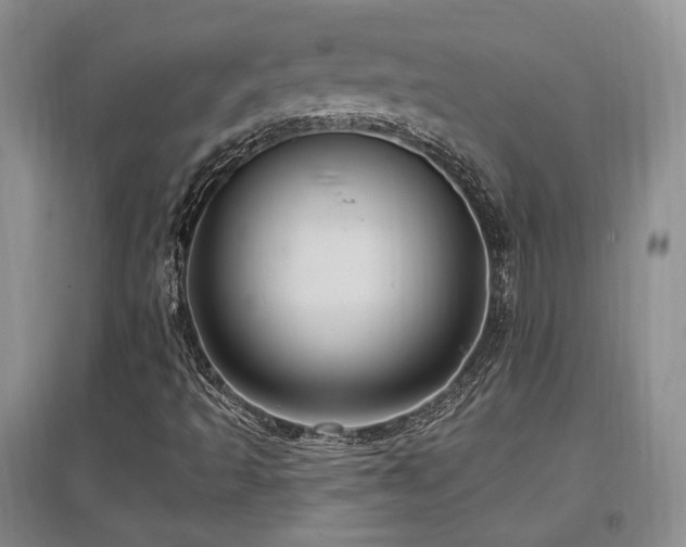 X0000097651493200802291438