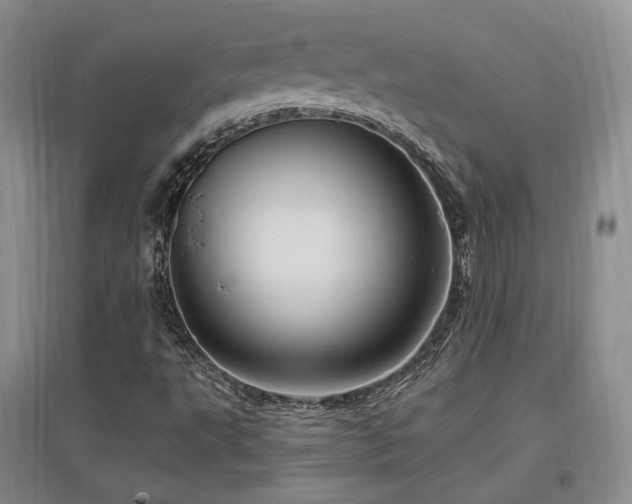 X0000097651495200802291438