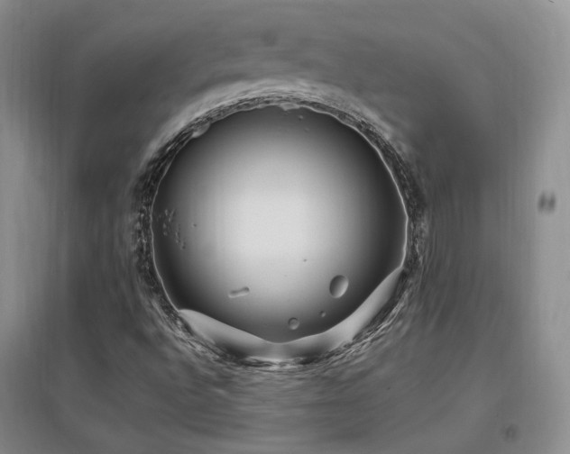 X0000097651496200802291438
