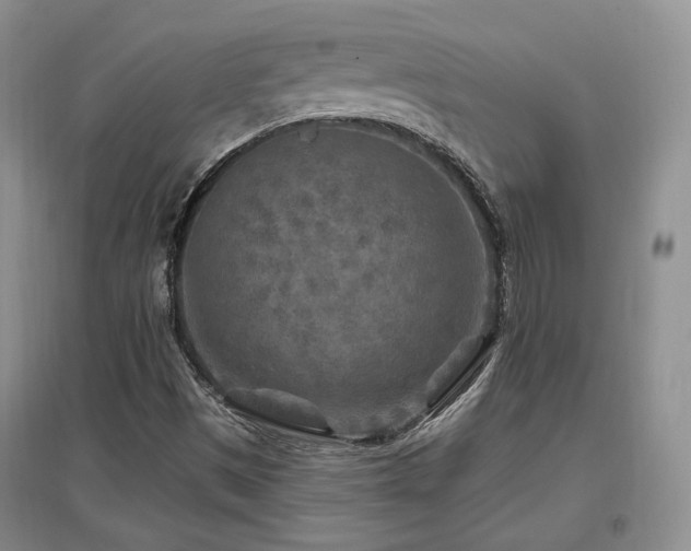 X0000097651497200802291438