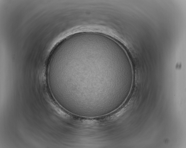 X0000097651498200802291438