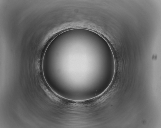 X0000097651499200802291438