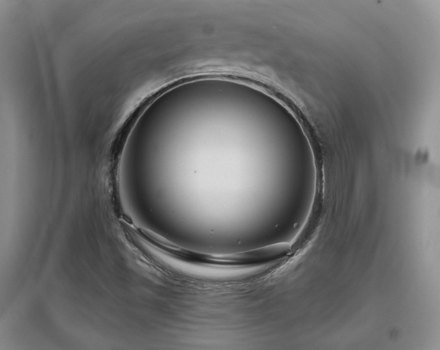 X0000097651501200802291438