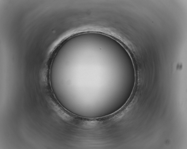X0000097651502200802291438