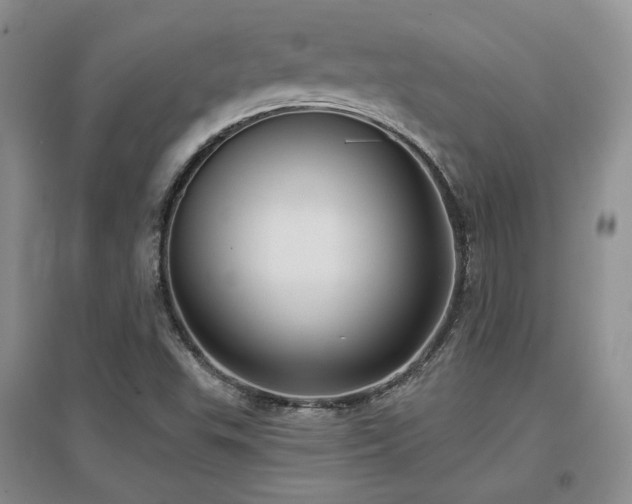 X0000097651503200802291438