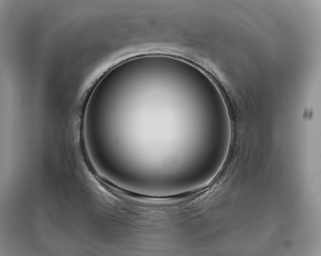 X0000097651504200802291438