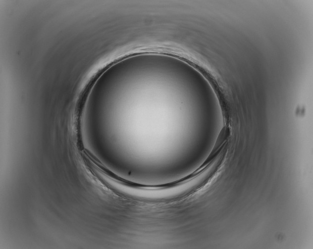 X0000097651506200802291438