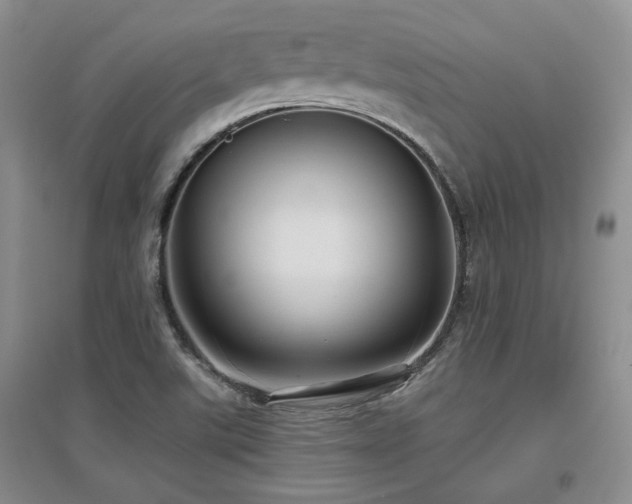 X0000097651507200802291438