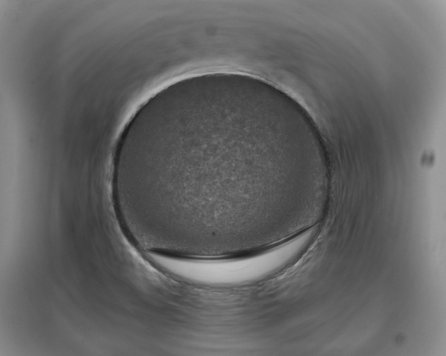 X0000097651508200802291438
