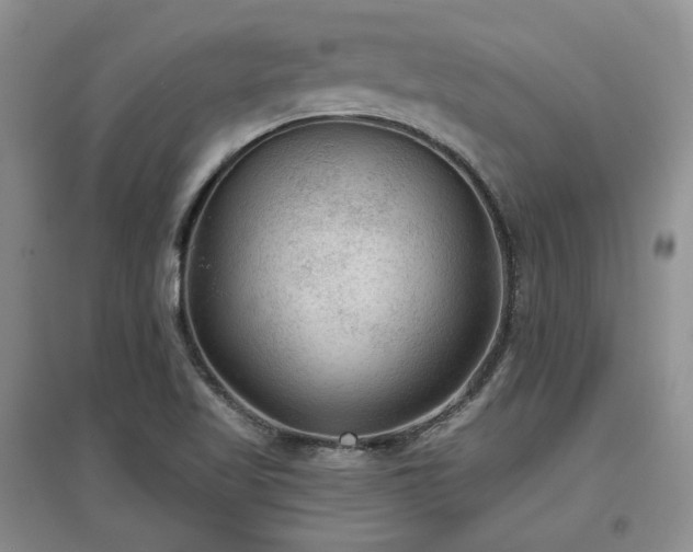 X0000097651509200802291438