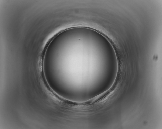 X0000097651510200802291438