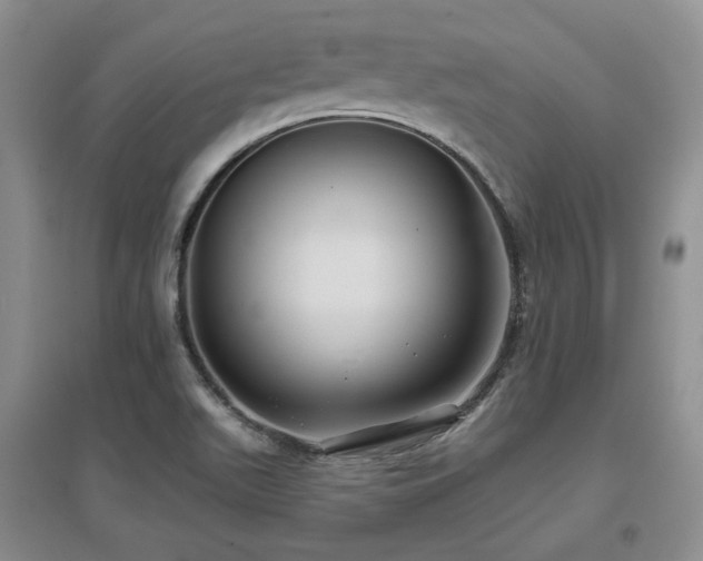 X0000097651511200802291438