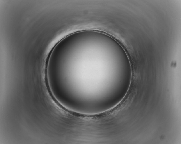 X0000097651512200802291438