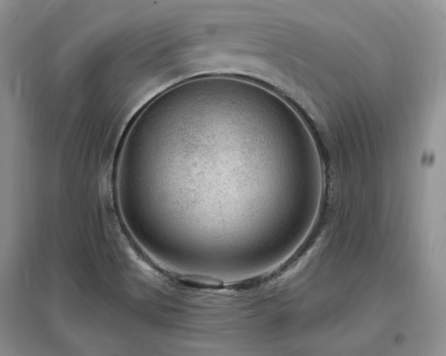 X0000097651513200802291438