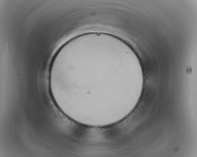 X0000097651514200802291438