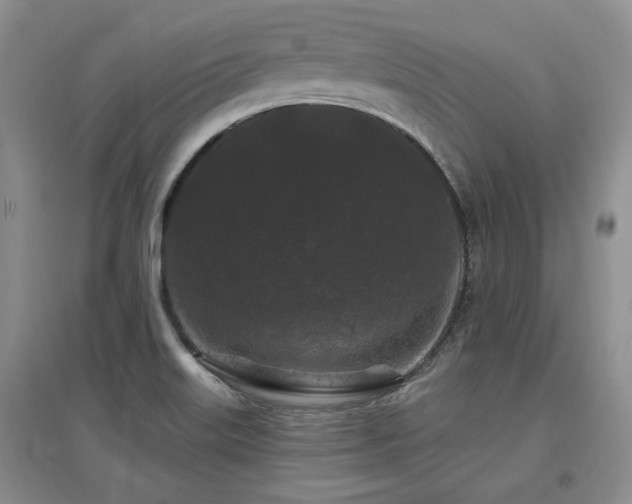 X0000097651515200802291438