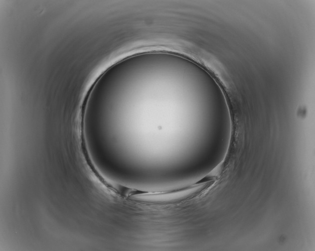X0000097651516200802291438
