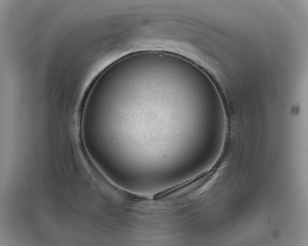 X0000097651517200802291438