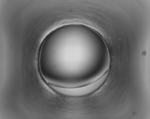 X0000097651518200802291438