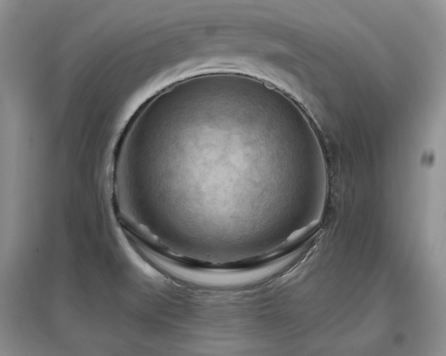 X0000097651519200802291438