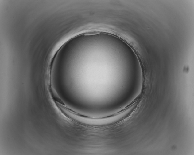 X0000097651520200802291438