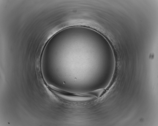 X0000097651521200802291438