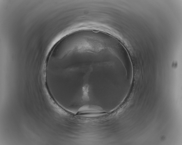 X0000097651522200802291438