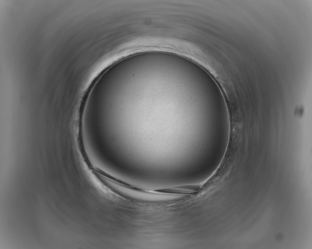 X0000097651523200802291438