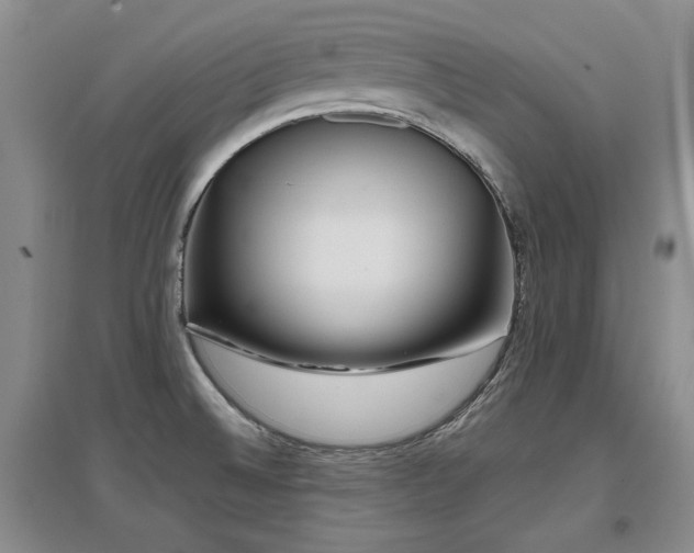 X0000097651524200802291438
