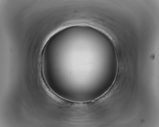 X0000097651526200802291438