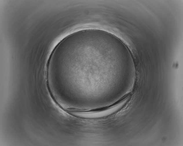 X0000097651527200802291438