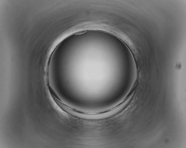 X0000097651528200802291438