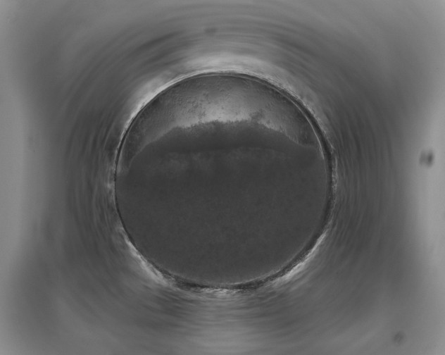 X0000097651529200802291438